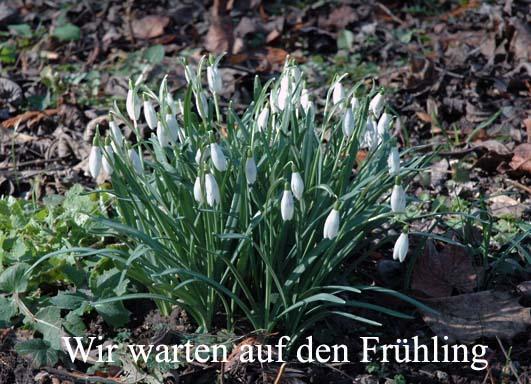Konigszinne Bodenwerder Exterior foto